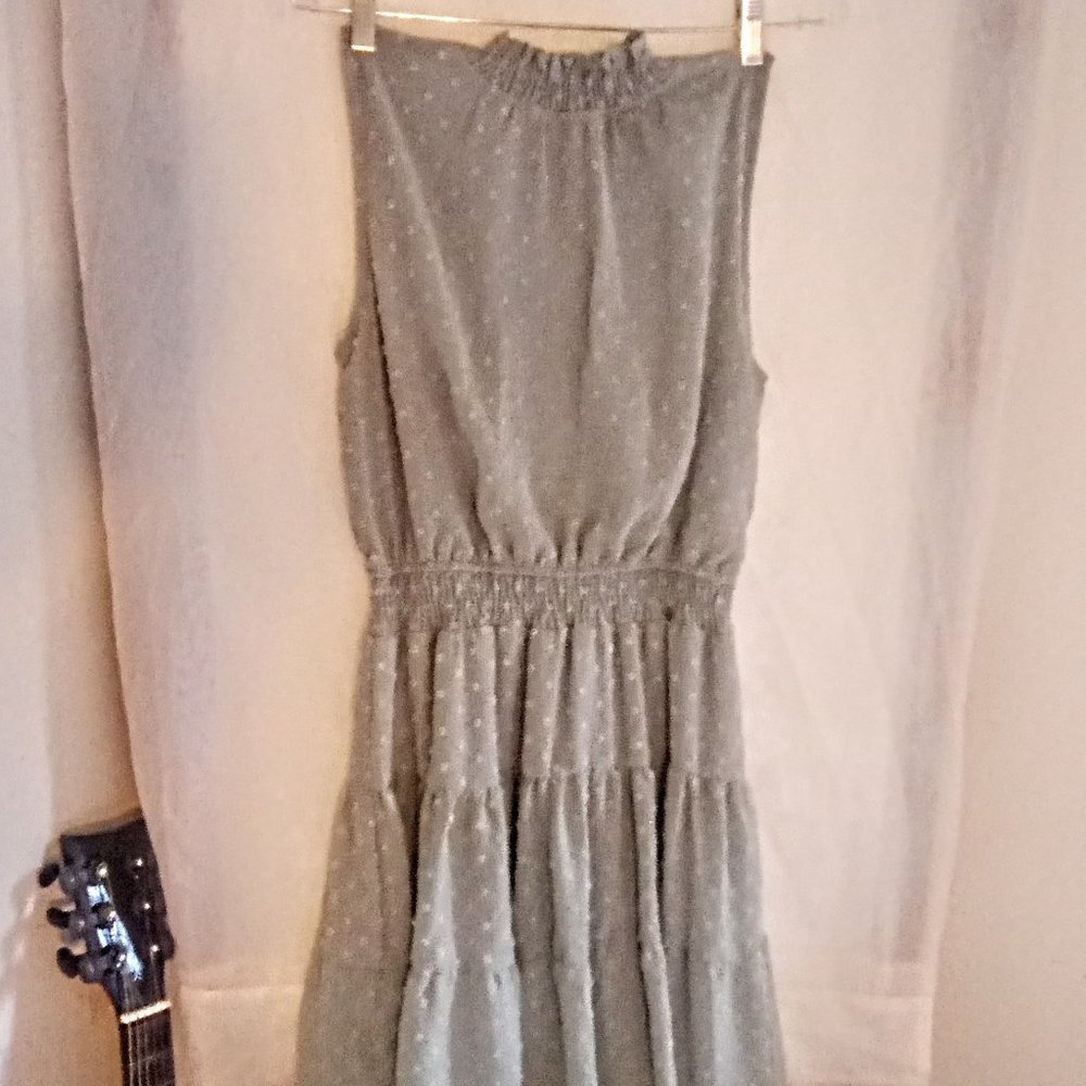 Sweet Wanderer Swiss Dot Dress